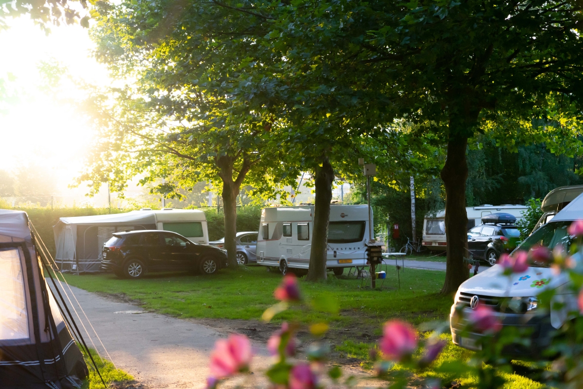 Schwimmbad-Camping Hall — photo 6
