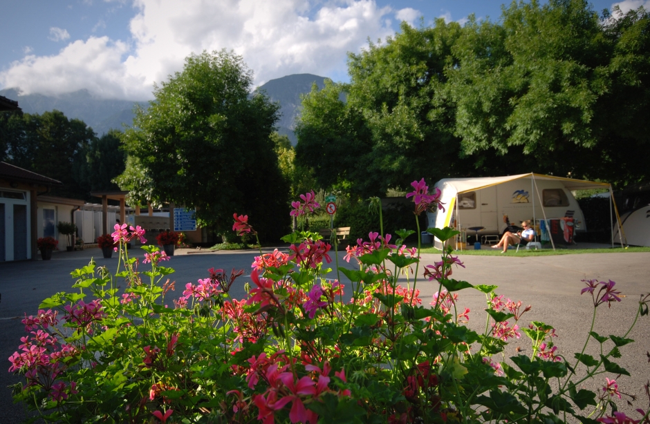 Foto: Hall AG (M. Marsoun-Kaindl)
